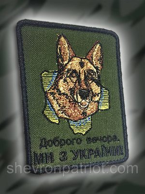 No126 Шеврон Доброго вічора