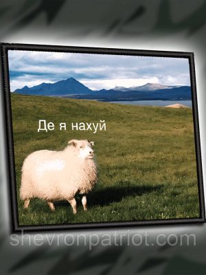 №ДШ050 Шеврон друкований "ДЕ Я?" 8Х7СМ