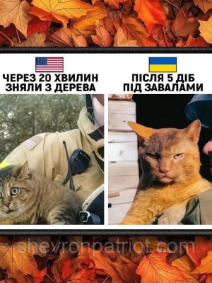 №АВШ004 Шеврон "УКРАЇНСЬКИЙ КІТ" 9Х7СМ