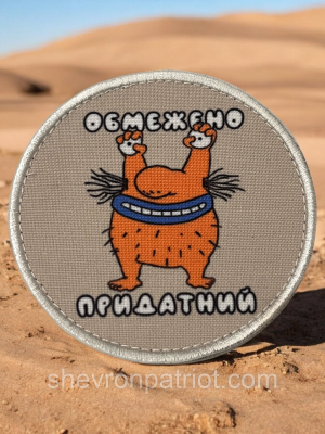 №ДШ072 Шеврон друкований "ОБМЕЖЕНО ПРИДАТНИЙ" 9СМ
